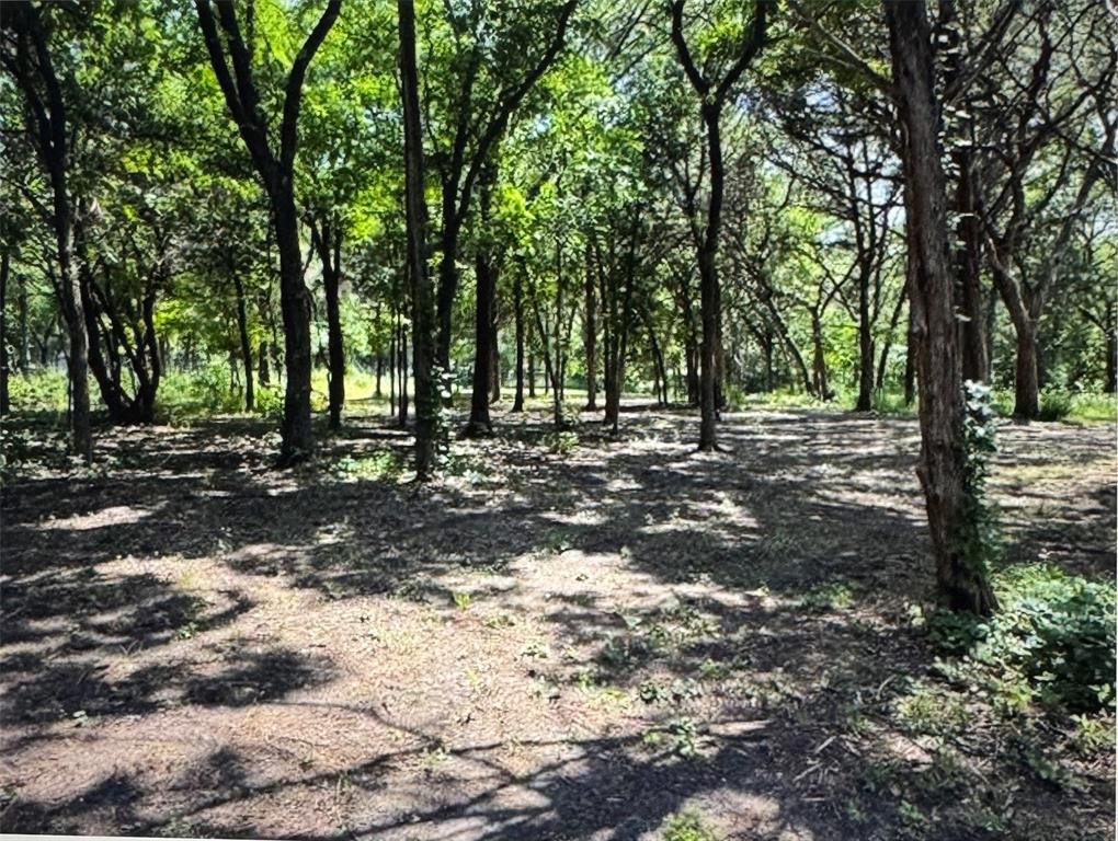 3 Robin Road Cedar Hill, TX 75104 - Photo 2 of 8