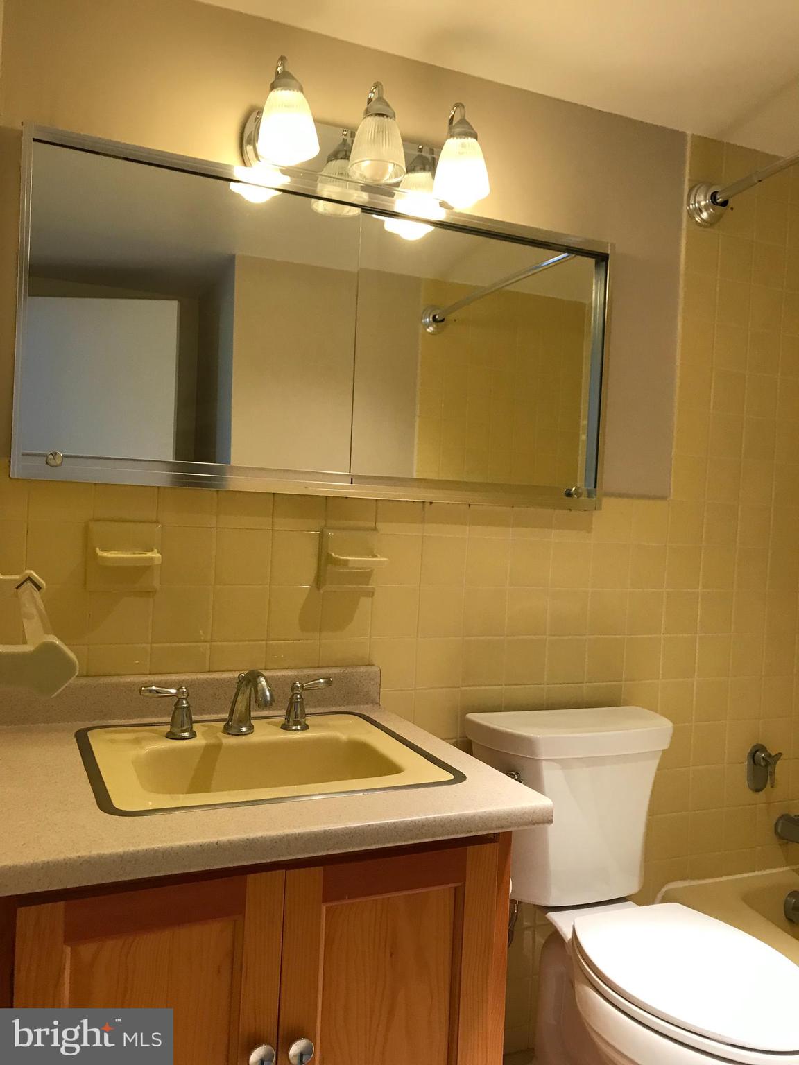 1425 4th Street Southwest, Unit A415 Washington, DC 20024 - Photo 12 of 53 Bathroom