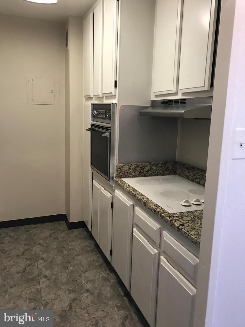 1425 4th Street Southwest, Unit A415 Washington, DC 20024 - Photo 14 of 53 Kitchen