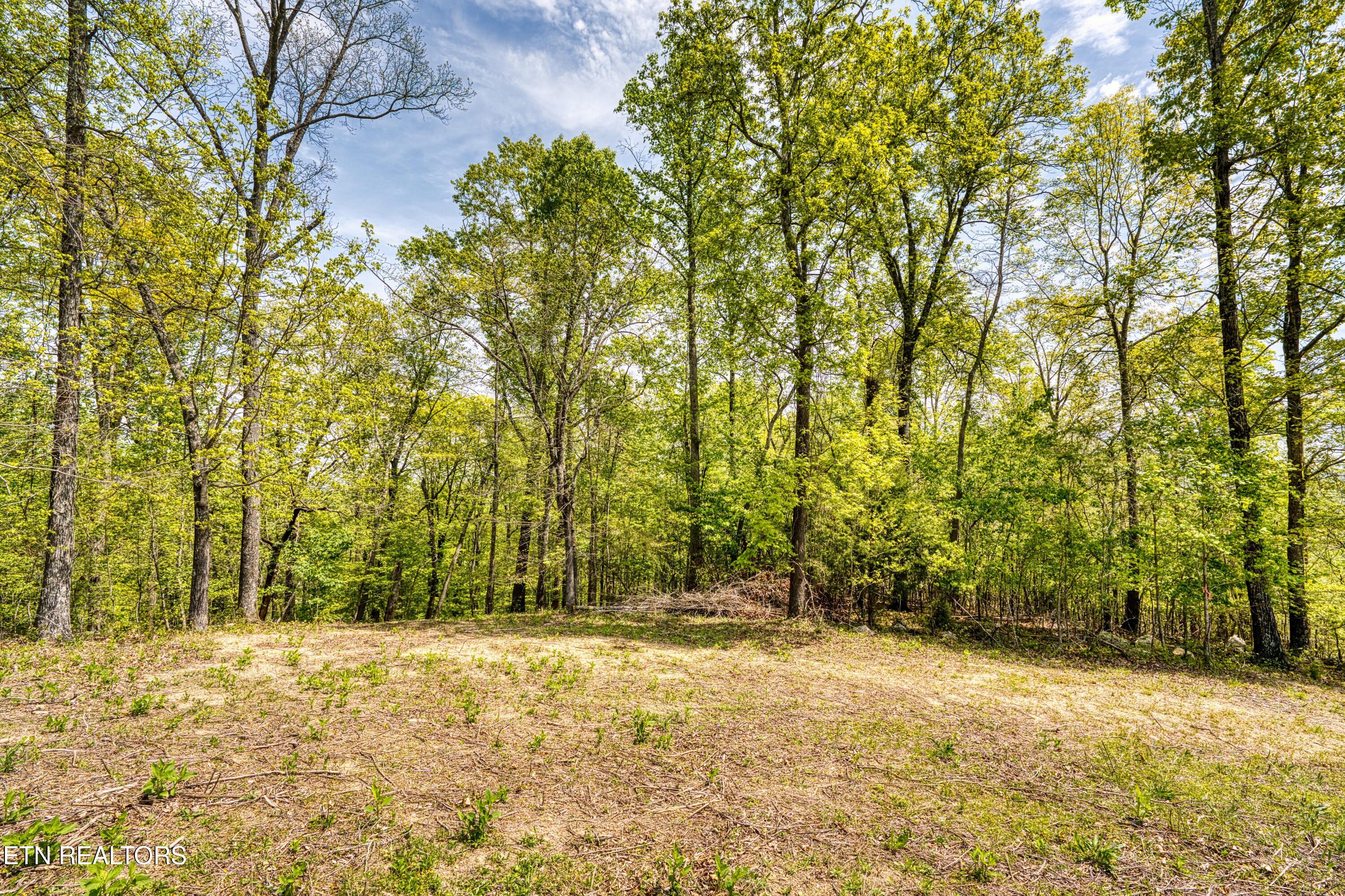 Sheerwater Road Kingston, TN 37763 - Photo 11 of 14 pic 10