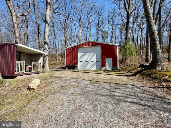 a view of a park with large tree