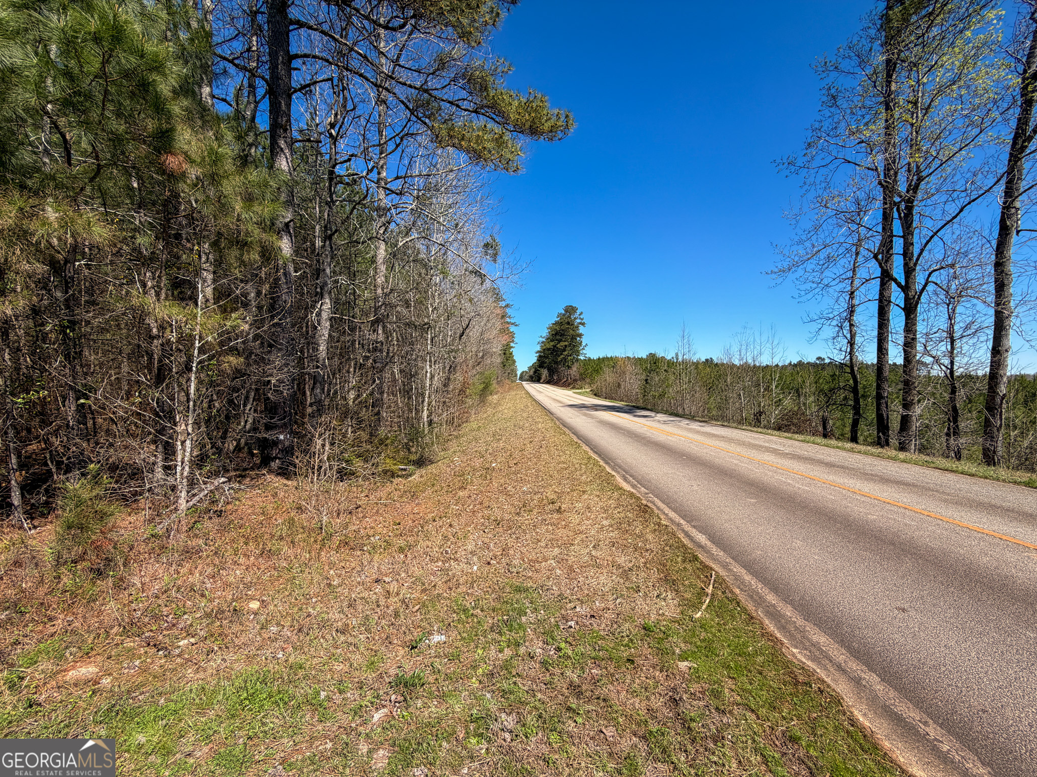 257 Acres On Ridgeway Road Franklin, GA 30217 - Photo 26 of 28