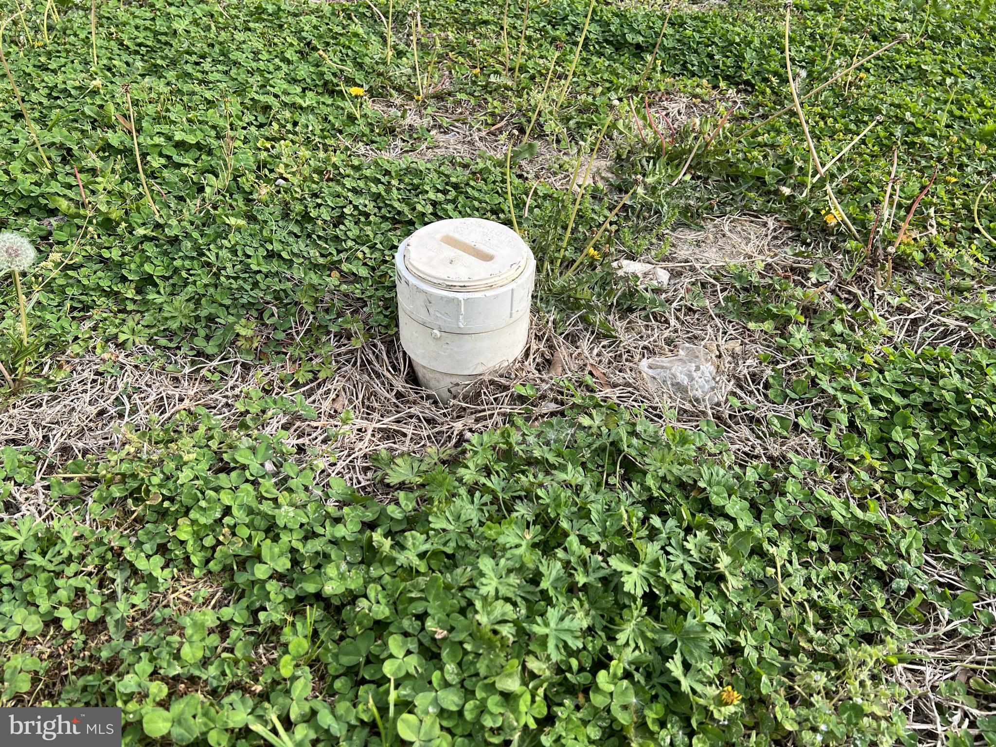 204 Franklin Street Cambridge, MD 21613 - Photo 4 of 10