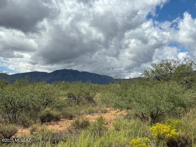 Tbd North Tbd N Central Road, Unit 9/10 Pearce, AZ 85625 - Photo 6 of 7