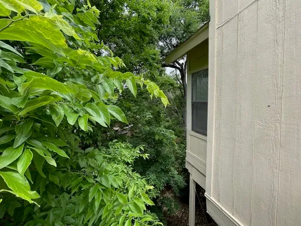 a view of a house with a tree
