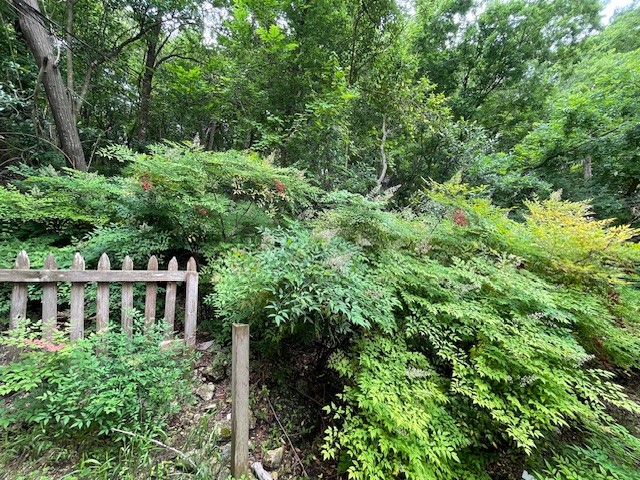 8808 Mountain Ridge Drive, Unit B Austin, TX 78759 - Photo 37 of 39