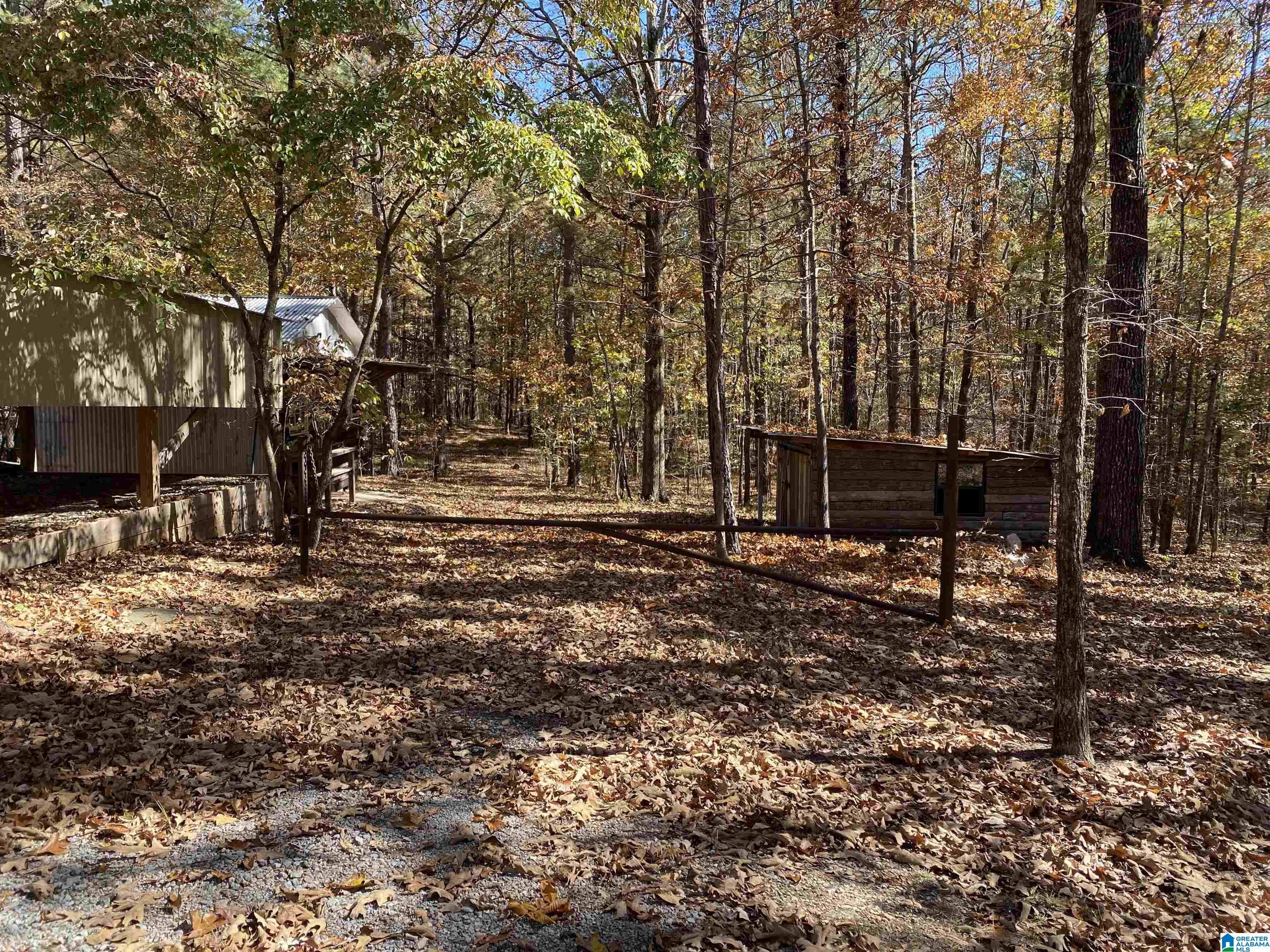 7512 Baby Doe Road Brookwood, AL 35444 - Photo 5 of 29