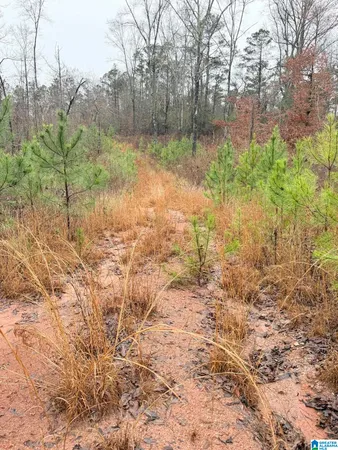 $275,000 | 0 County Road 472, Unit ACREAGE, Clanton, AL 35046