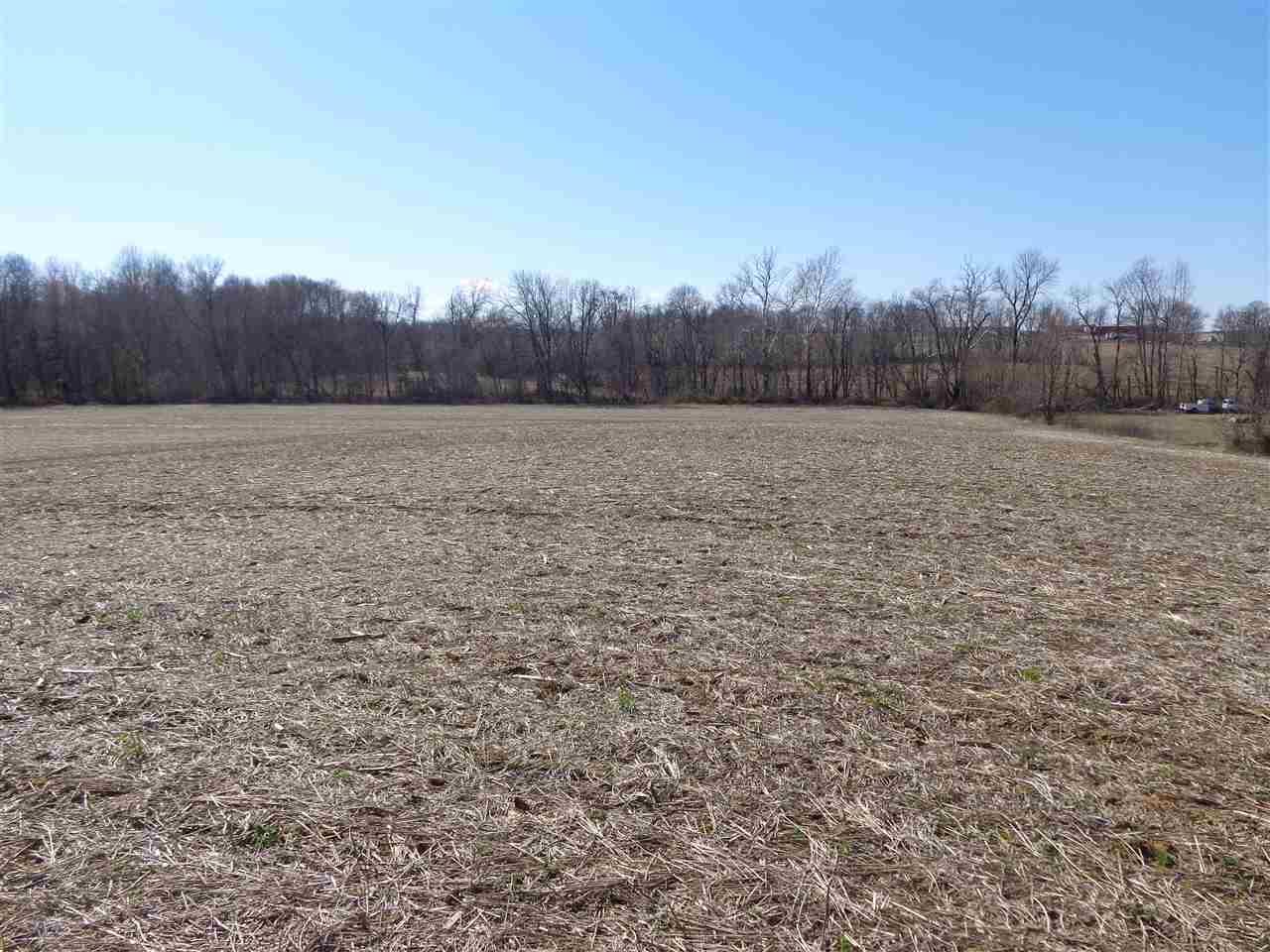 10113 Middle Mt Vernon Road Mount Vernon, IN 47620 - Photo 11 of 14 Gallery Image 11