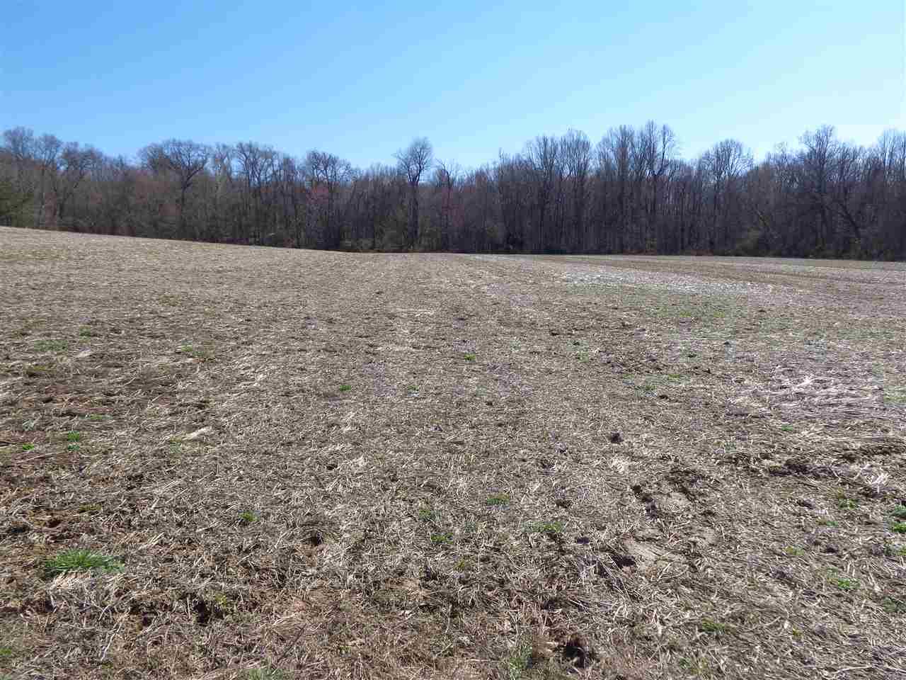 10113 Middle Mt Vernon Road Mount Vernon, IN 47620 - Photo 13 of 14 Gallery Image 13