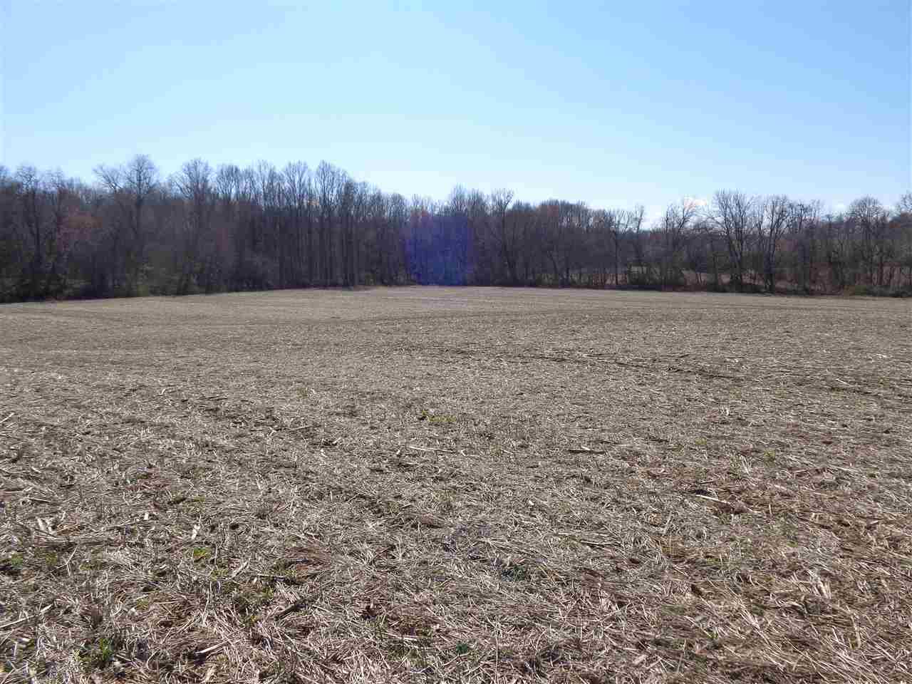 10113 Middle Mt Vernon Road Mount Vernon, IN 47620 - Photo 10 of 14 Gallery Image 10