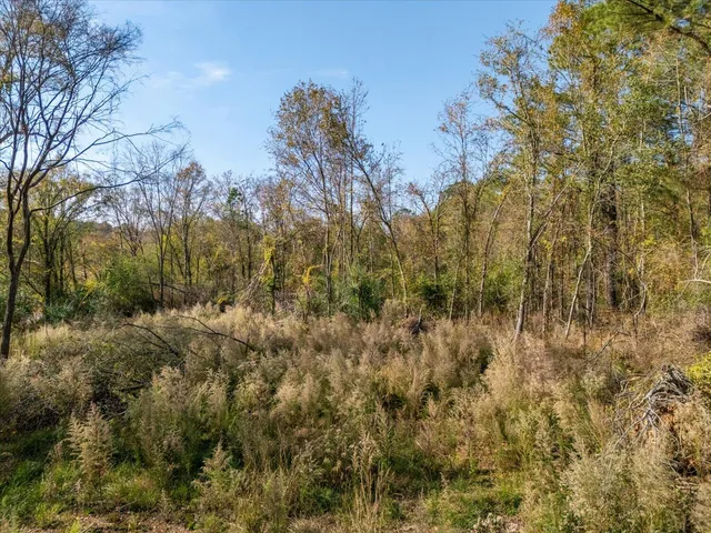 $74,900 | 106 State Hwy S-19-1207, Trenton, SC 29847