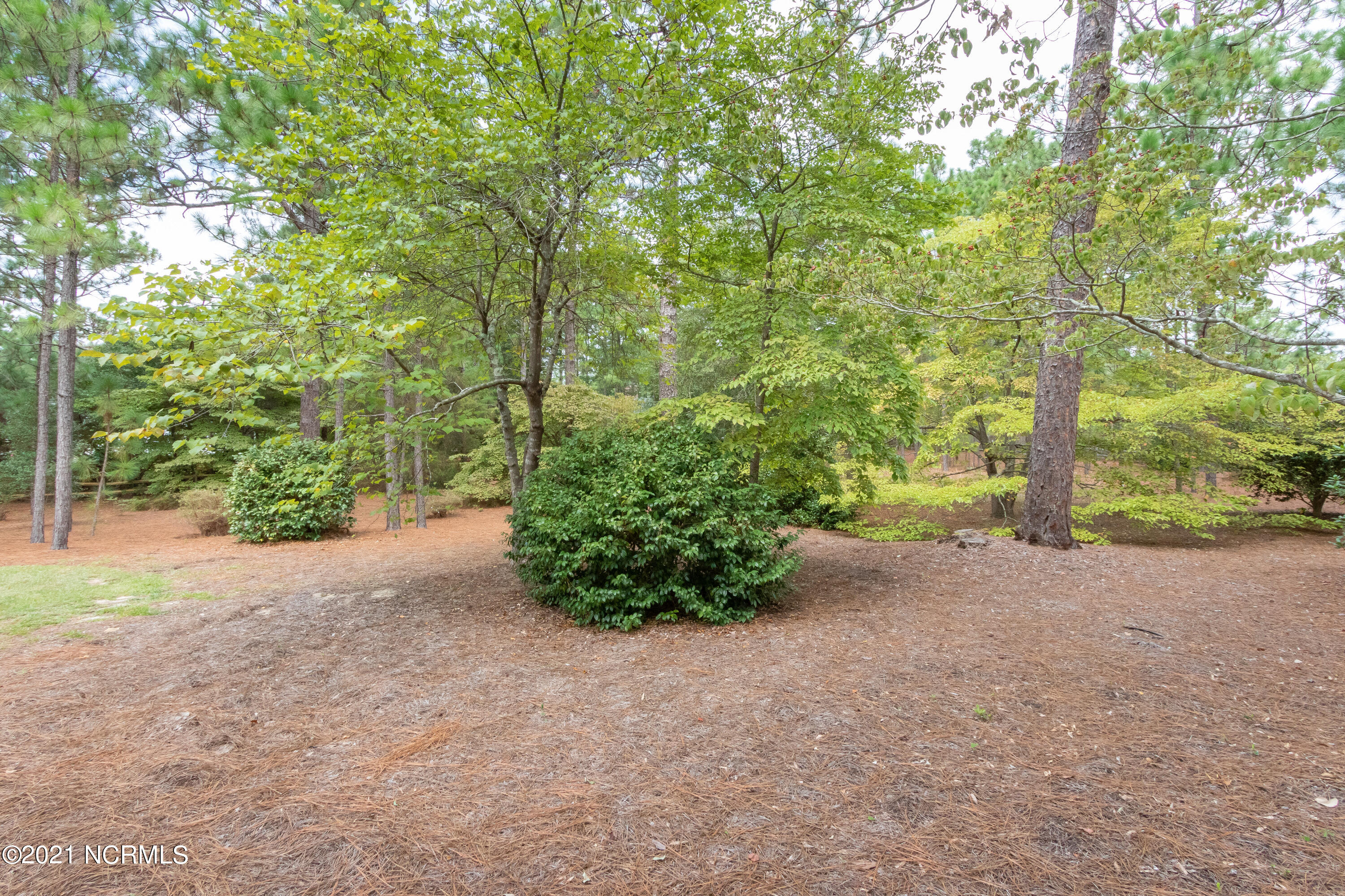 Tbd McDonald Road West Pinehurst, NC 28374 - Photo 1 of 28 IMG_1592