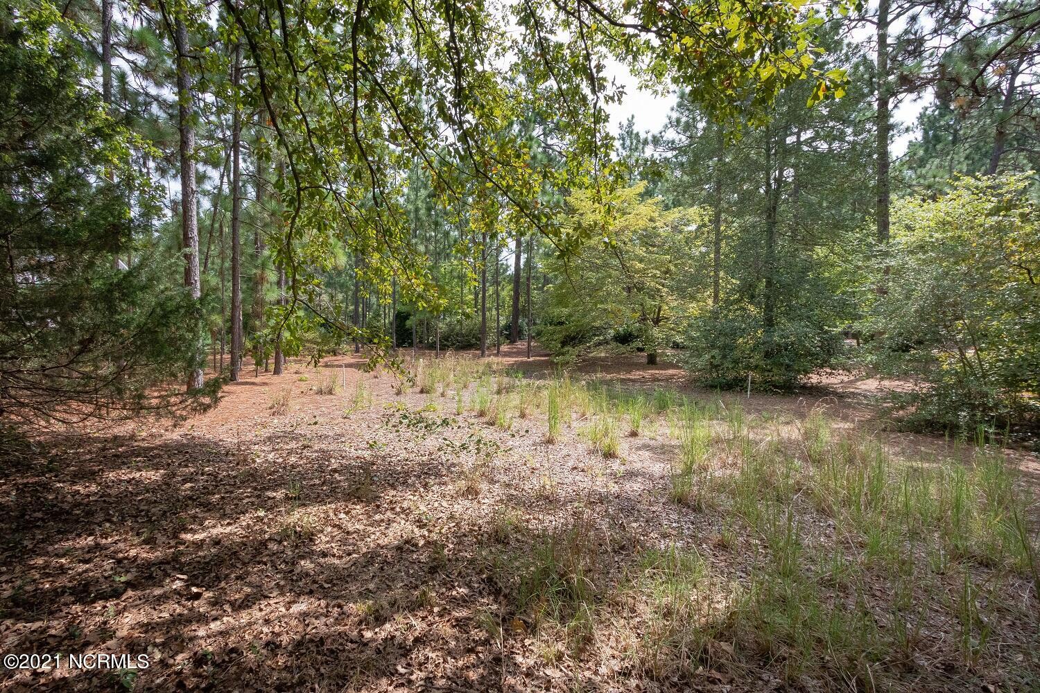 Tbd McDonald Road West Pinehurst, NC 28374 - Photo 17 of 28 IMG_1697