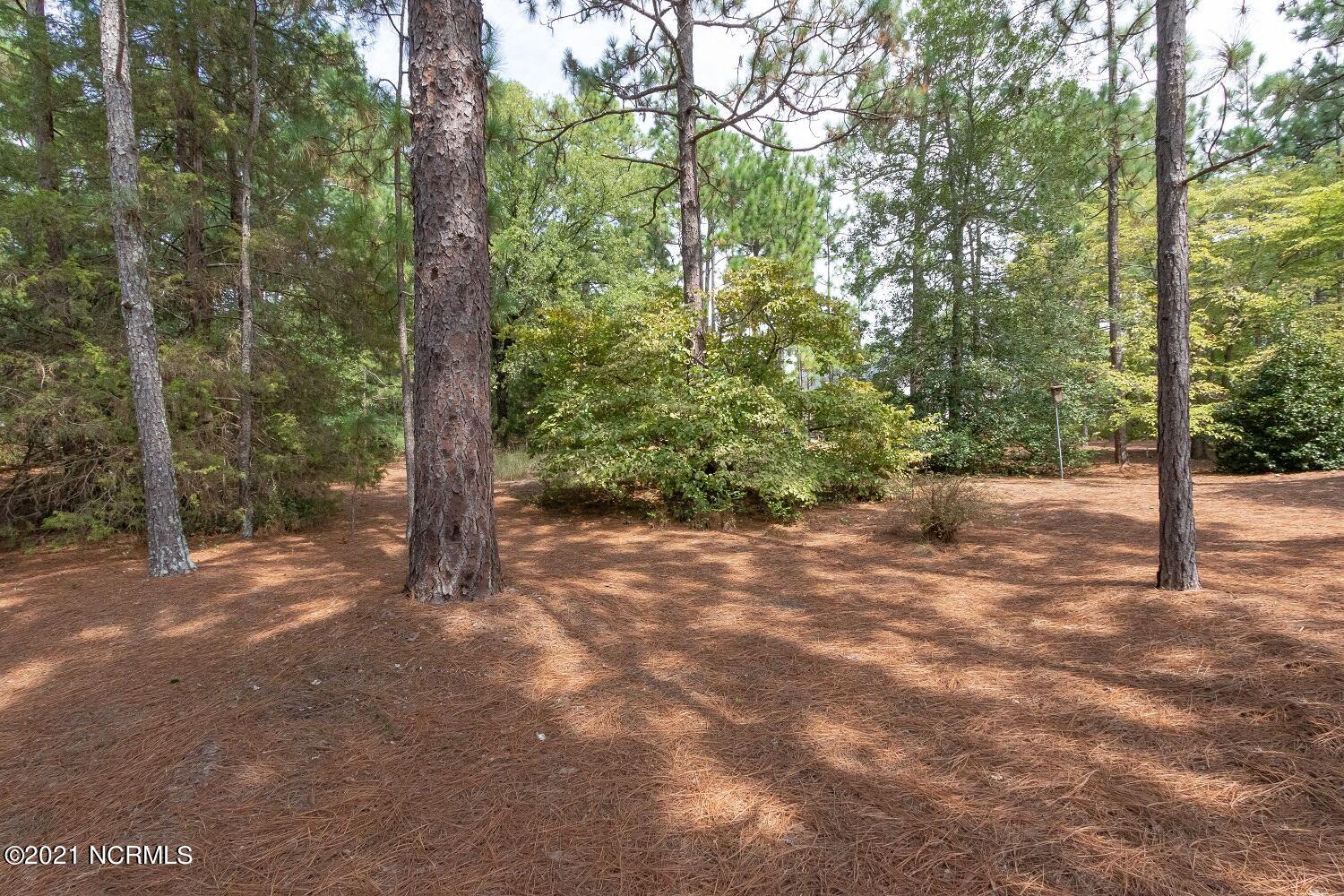Tbd McDonald Road West Pinehurst, NC 28374 - Photo 20 of 28 IMG_1718