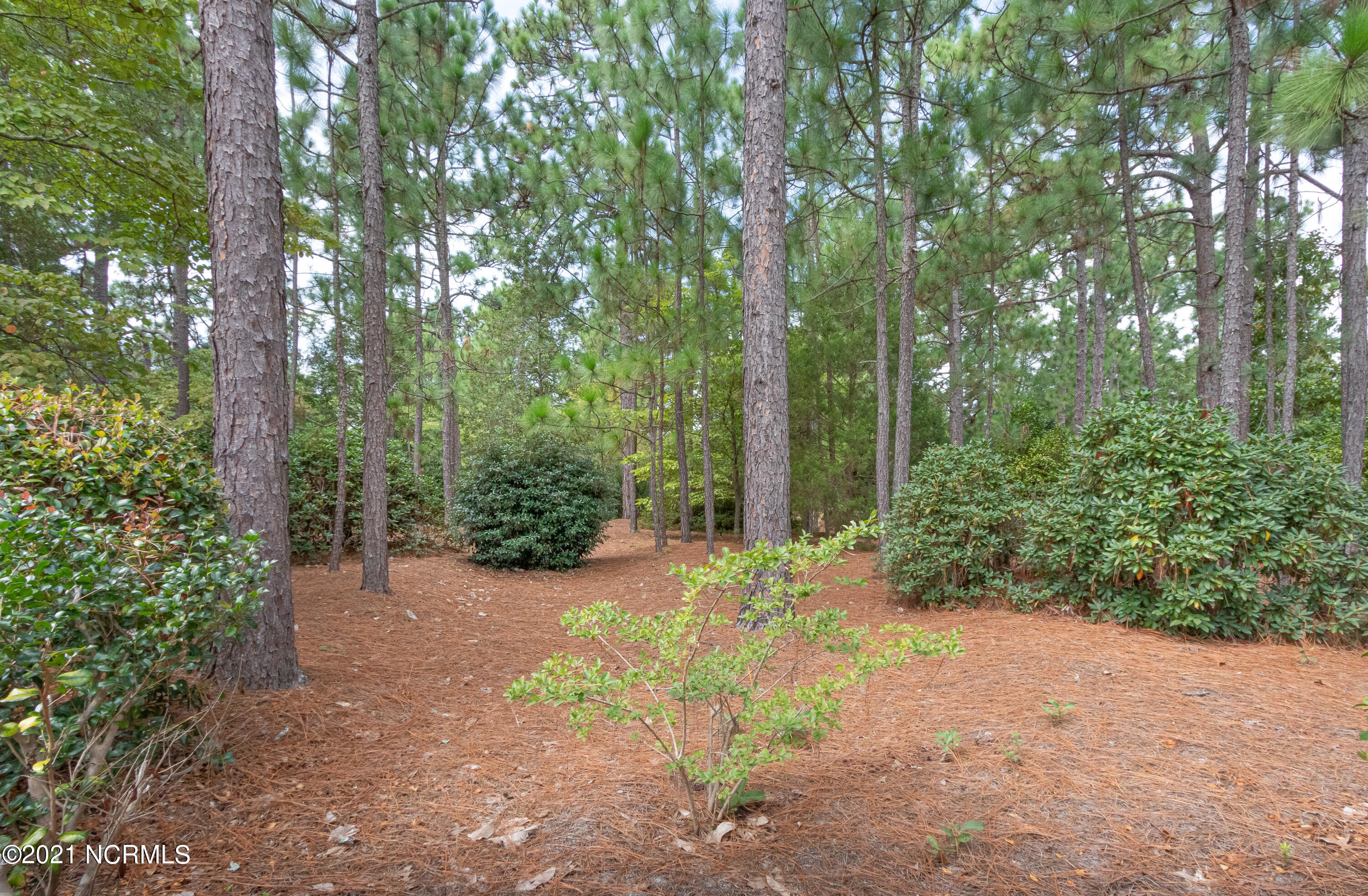 Tbd McDonald Road West Pinehurst, NC 28374 - Photo 6 of 28 IMG_1623