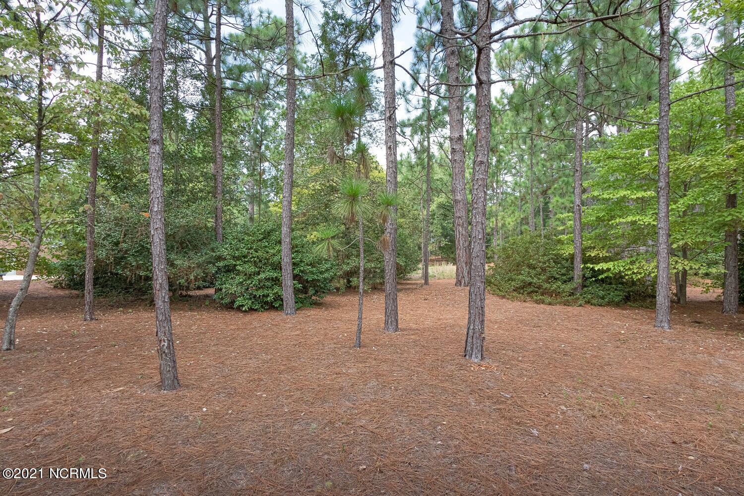Tbd McDonald Road West Pinehurst, NC 28374 - Photo 8 of 28 IMG_1635