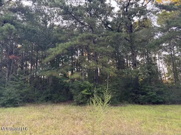 $45,000 | Lot #3 Park Place, McComb, MS 39648