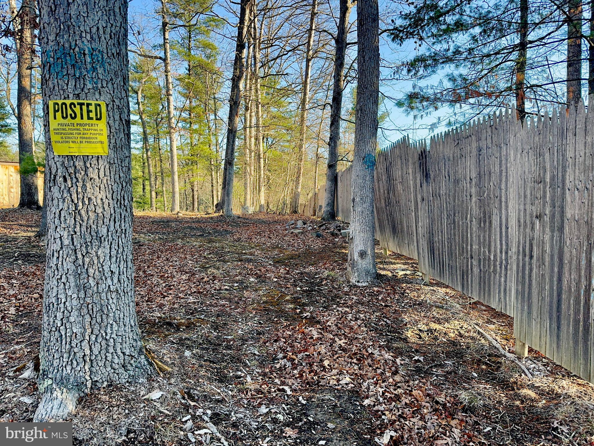 31307 Oldtown Road Little Orleans, MD 21766 - Photo 15 of 35