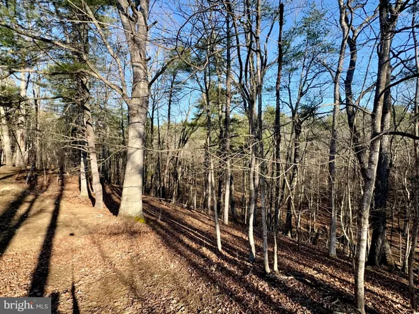 $135,900 | 31307 Oldtown Road, Little Orleans, MD 21766