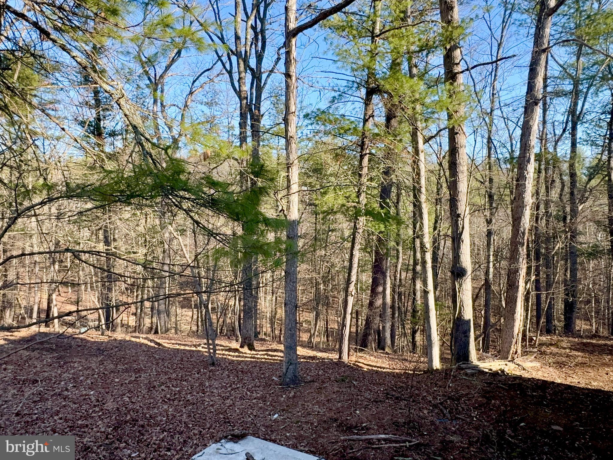 31307 Oldtown Road Little Orleans, MD 21766 - Photo 28 of 35