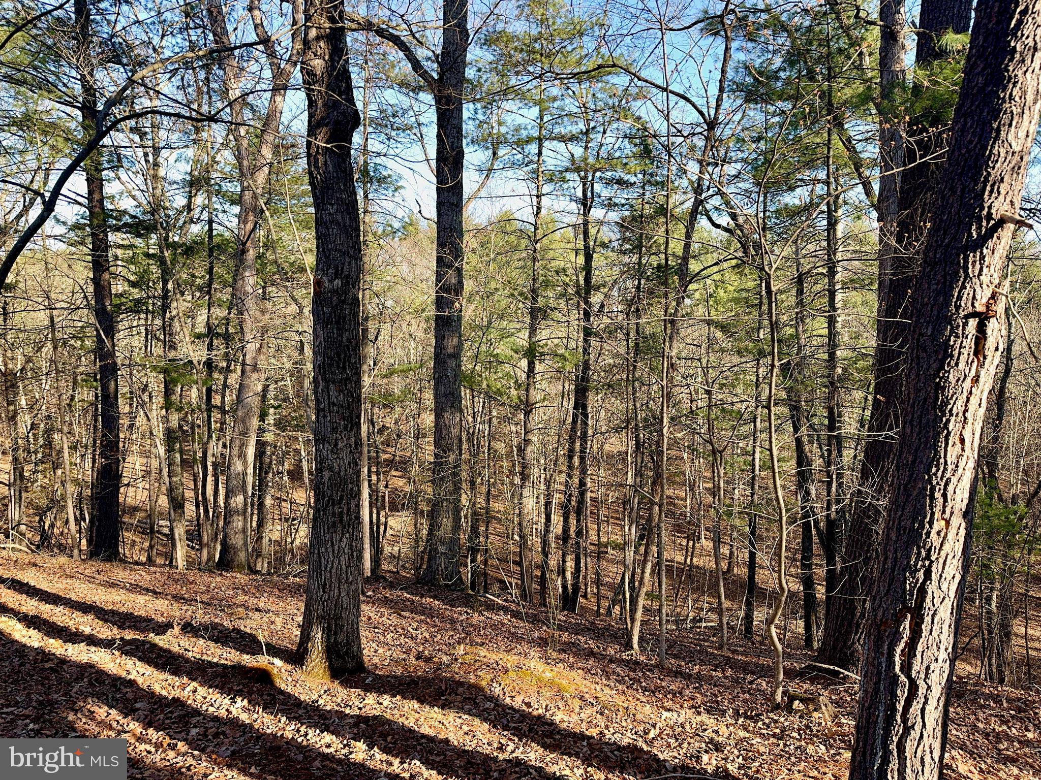 31307 Oldtown Road Little Orleans, MD 21766 - Photo 29 of 35