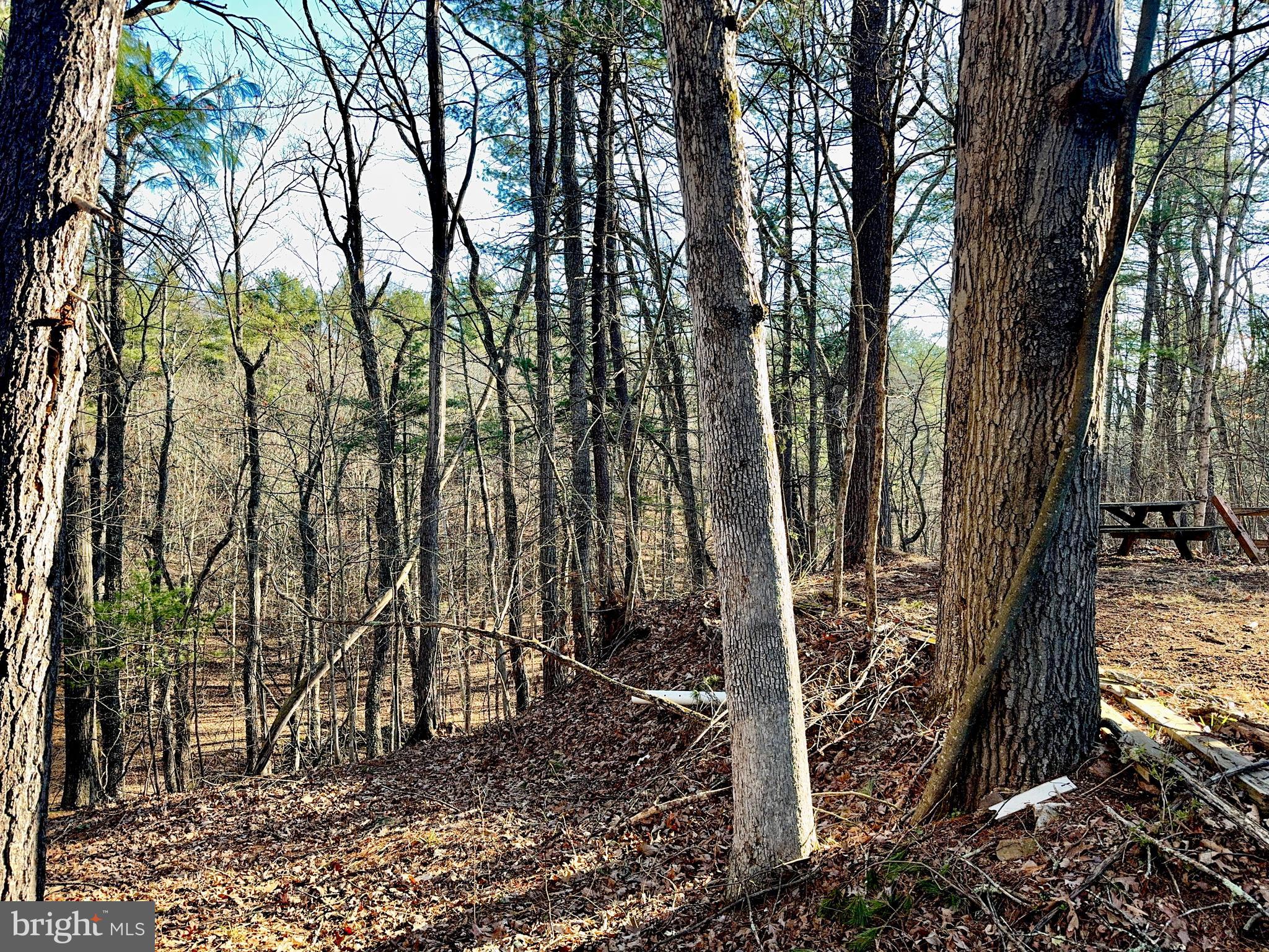 31307 Oldtown Road Little Orleans, MD 21766 - Photo 30 of 35