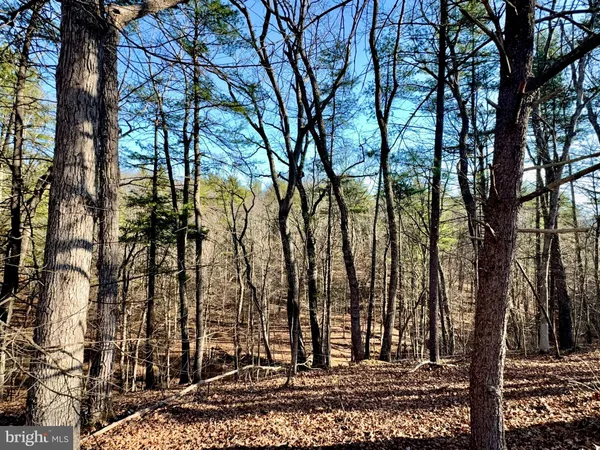 $135,900 | 31307 Oldtown Road, Little Orleans, MD 21766