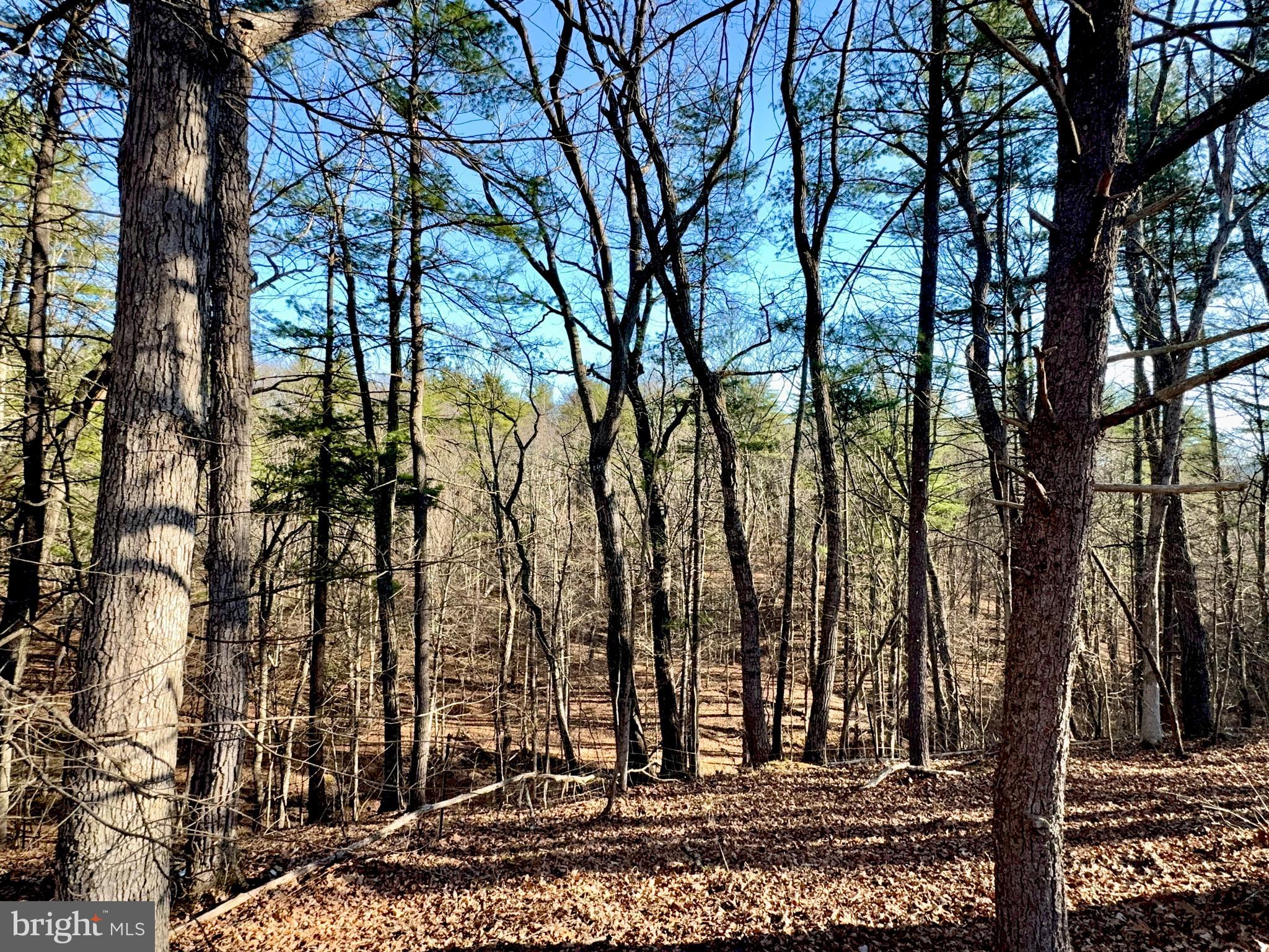 31307 Oldtown Road Little Orleans, MD 21766 - Photo 33 of 35