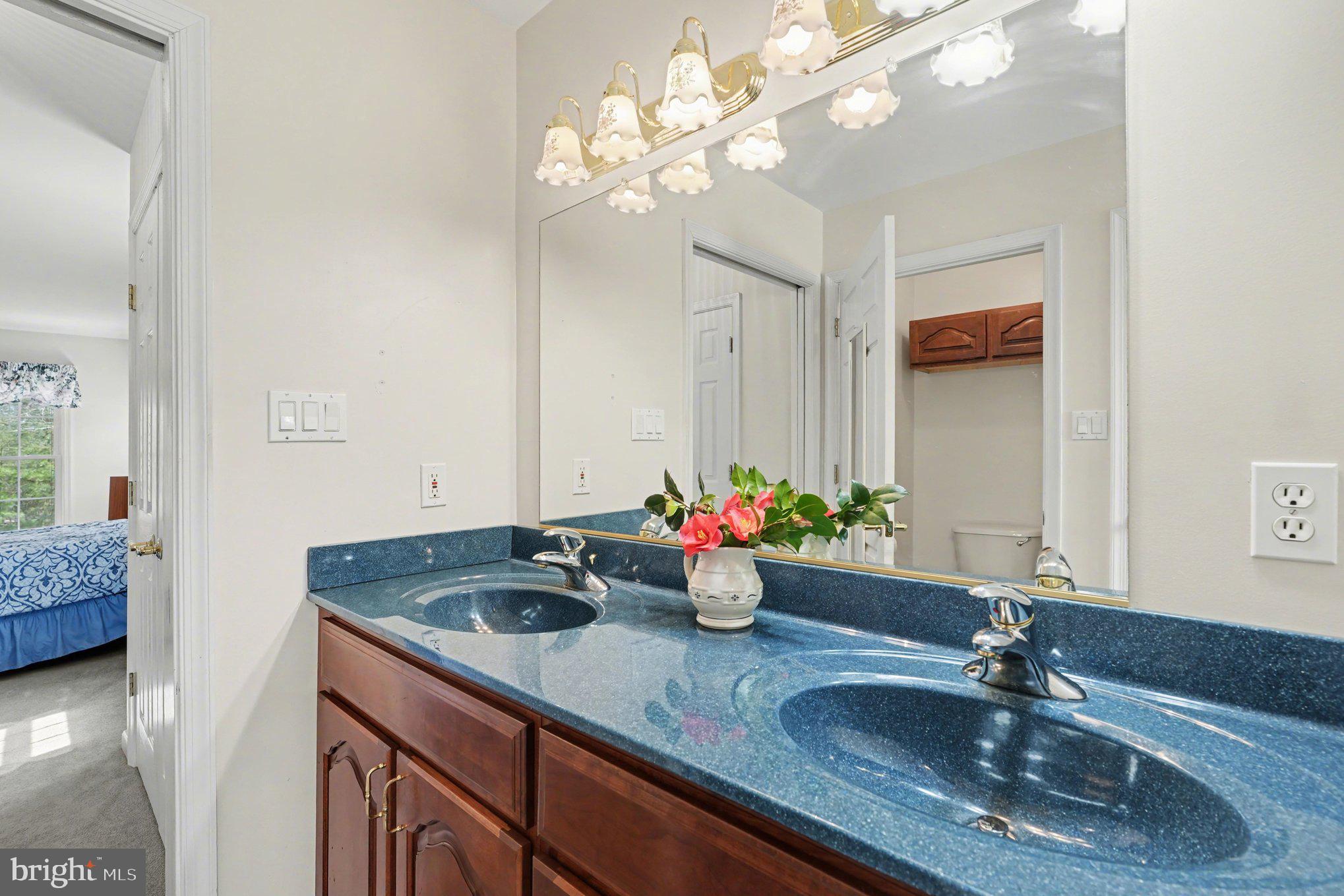 2383 Rappahannock Road Colonial Beach, VA 22443 - Photo 22 of 47 Primary Bathroom