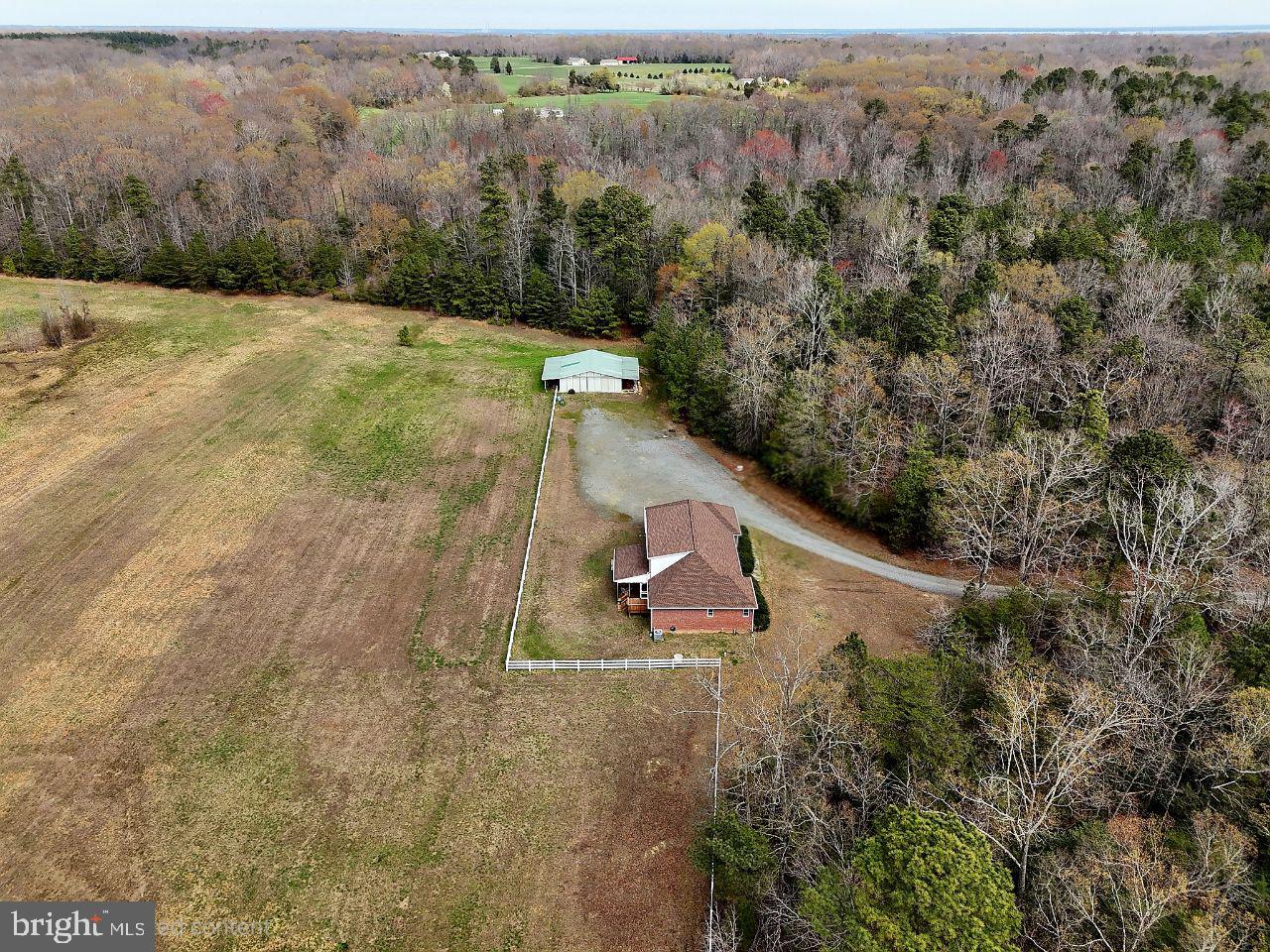 2383 Rappahannock Road Colonial Beach, VA 22443 - Photo 47 of 52 a view of a yard with a tree