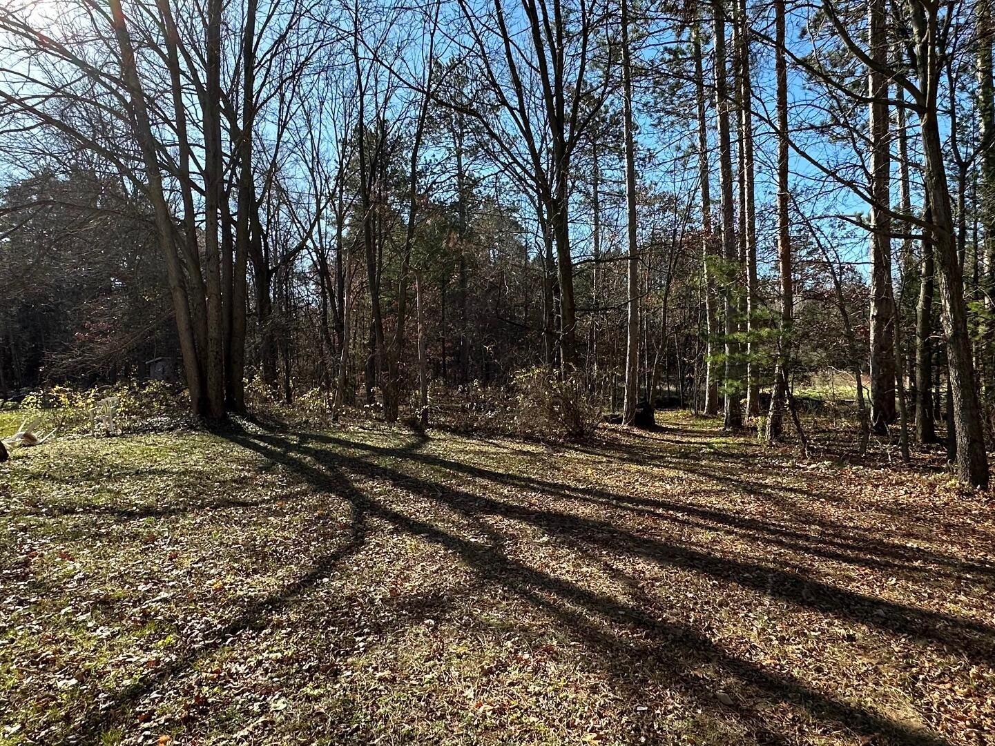 18923 West Almy Road Howard City, MI 49329 - Photo 13 of 20 IMG_6528