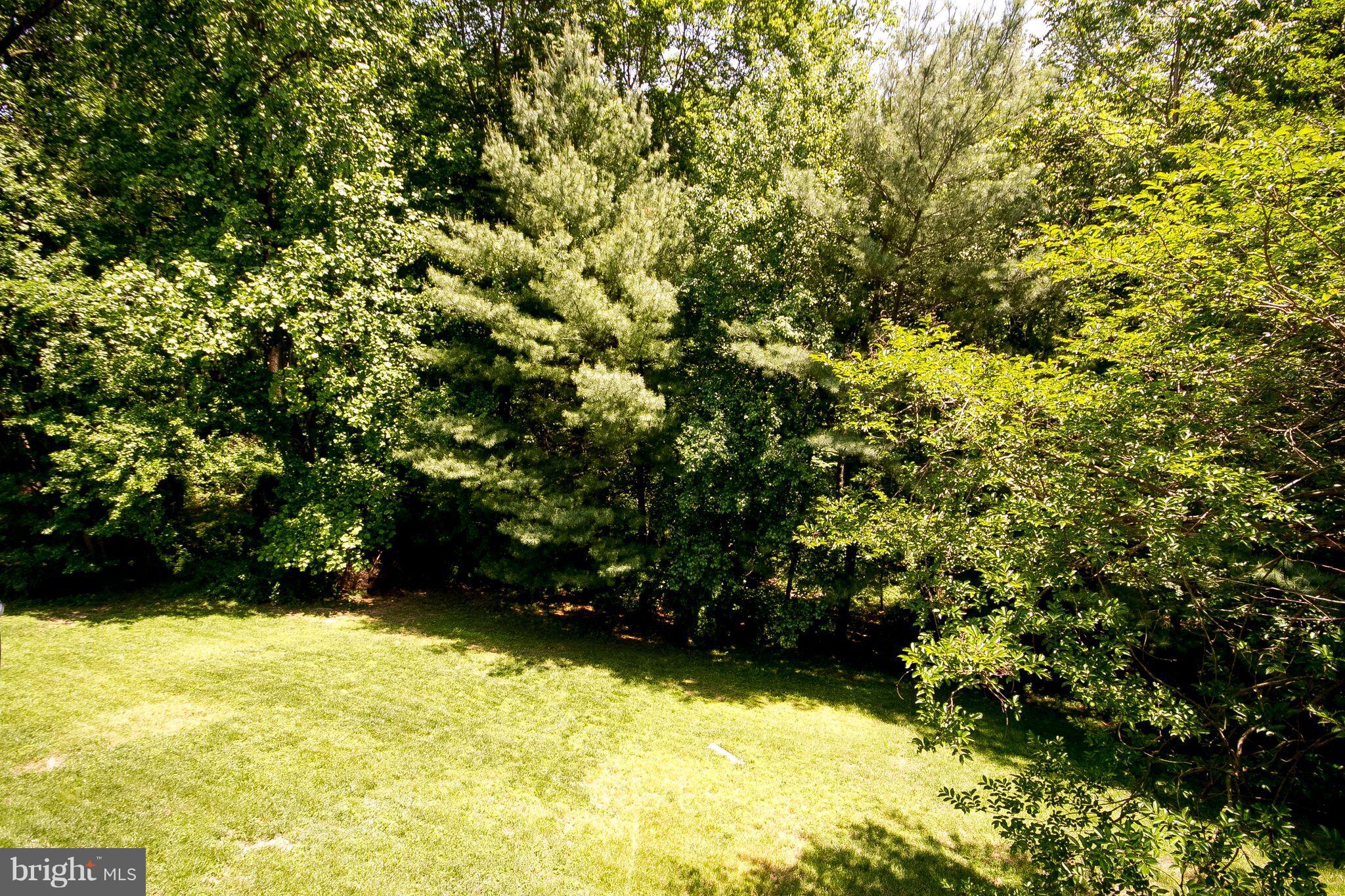 427 Rambler Road Bel Air, MD 21015 - Photo 13 of 30 PRIVATE - SERENE BACK YARD TO TREES