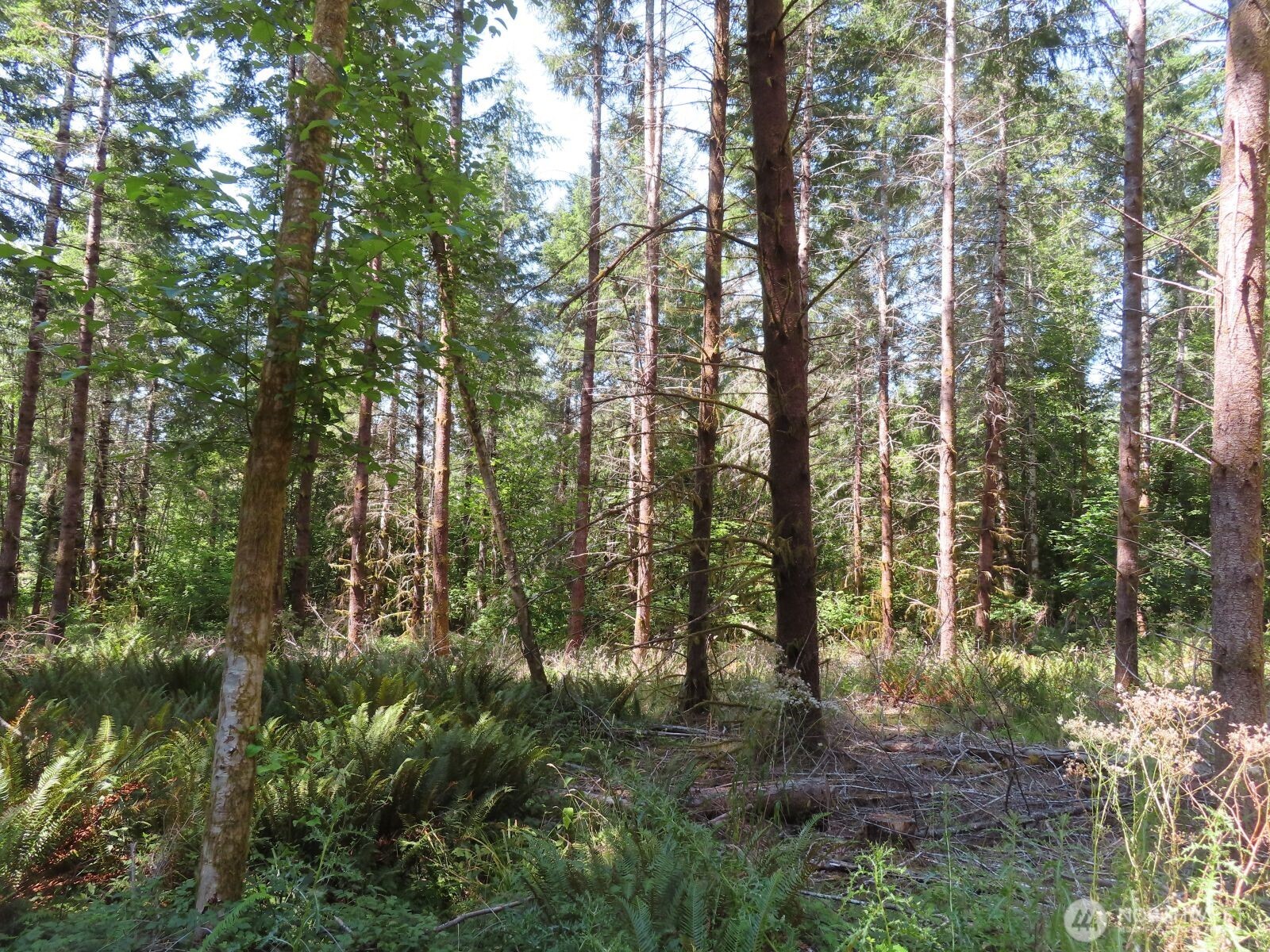 -xxx Chandler Road Chehalis, WA 98532 - Photo 14 of 22 Gallery Image 14