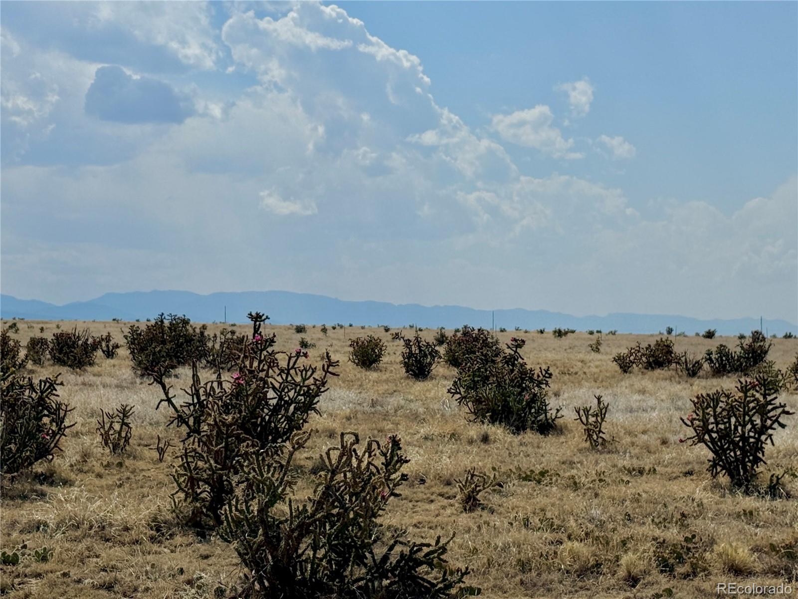 7 Little Burnt Mill Road Pueblo, CO 81004 - Photo 4 of 11