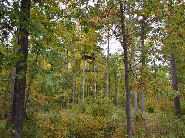 At Koth Road Tomahawk, WI 54487 - Photo 14 of 20 Gallery Image 14