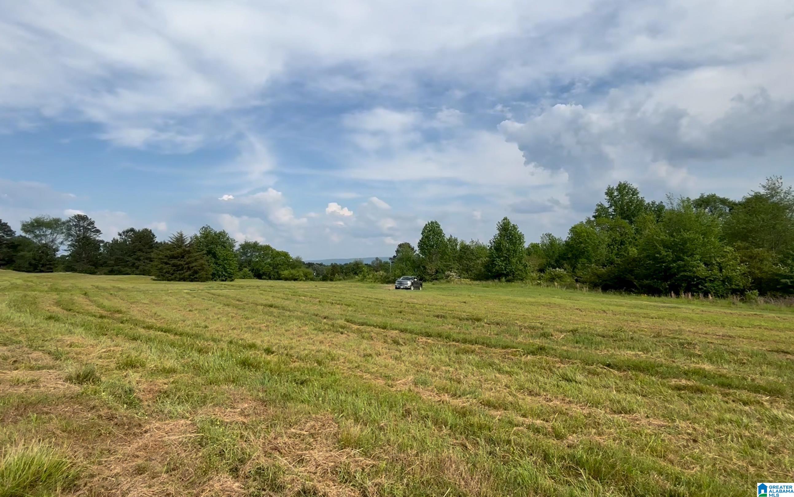 1895 Marvin Adcock Road, Unit 9 ACRES Hayden, AL 35079 - Photo 16 of 18