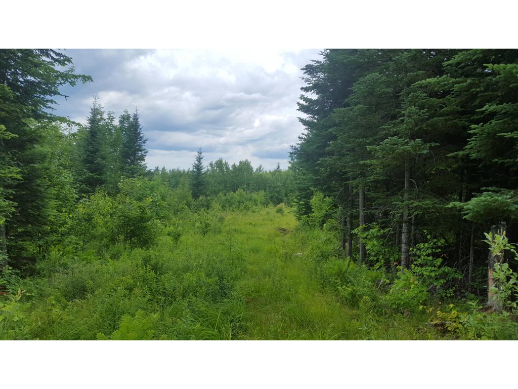 49.2 Beech Hill Road Bethlehem, NH 03574 - Photo 6 of 8 Gallery Image 6