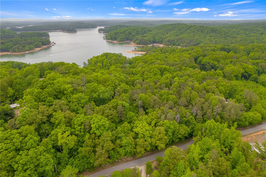 5 Shelor Ferry Road Fair Play, SC 29643 - Photo 11 of 17 Aerial Lake View – Elevated aerial view showcasing the property’s wooded setting with close proximity to Lake Hartwell and easy access to the cove and open water.