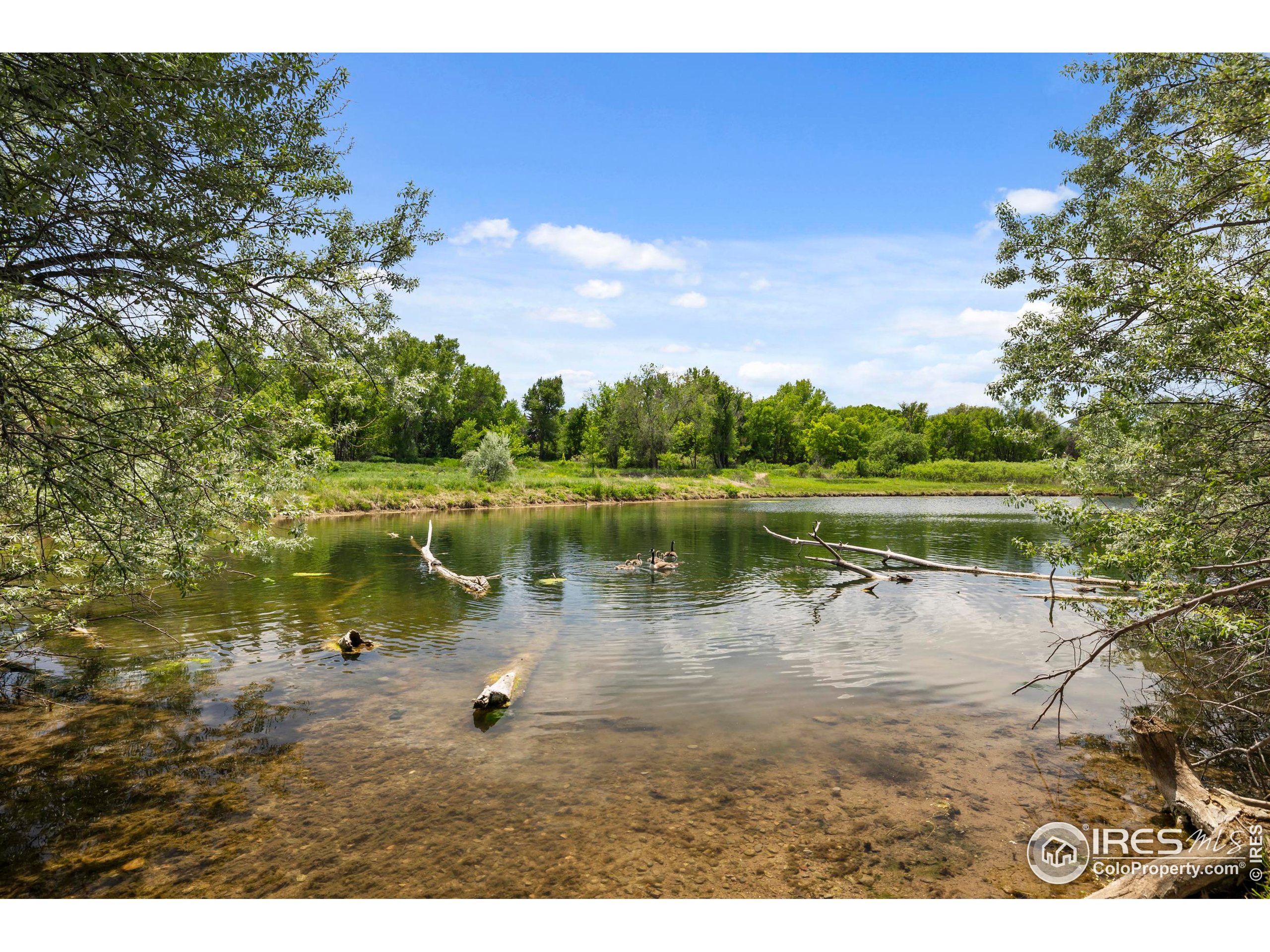1705 Heatheridge Road, Unit 104 Fort Collins, CO 80526 - Photo 26 of 28