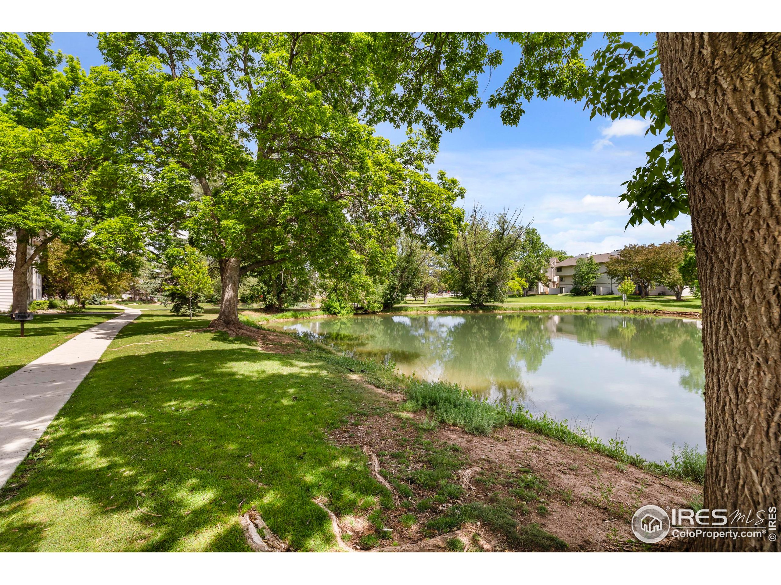 1705 Heatheridge Road, Unit 104 Fort Collins, CO 80526 - Photo 28 of 28