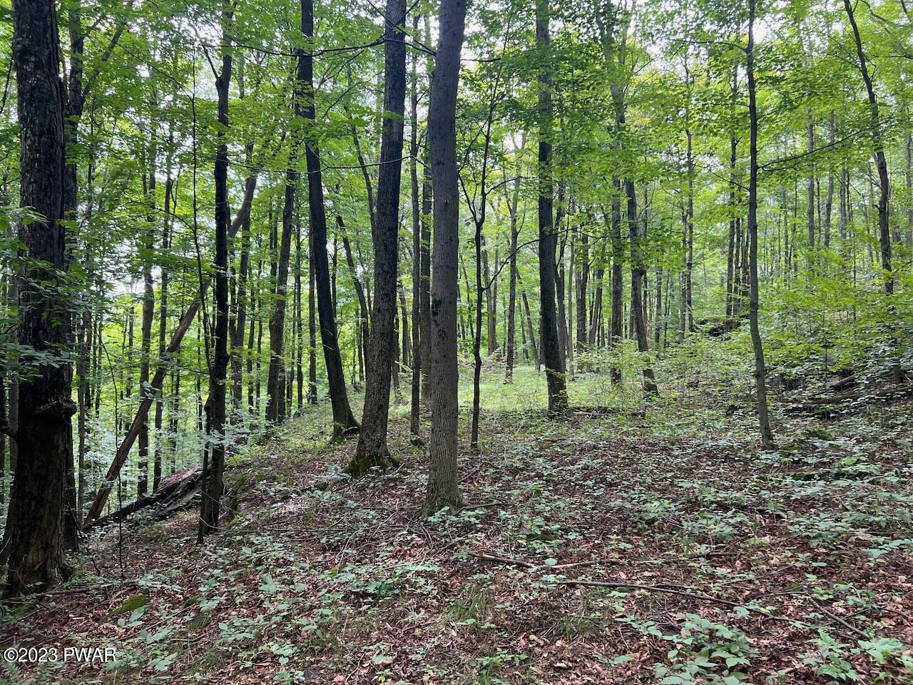 6-7 Secluded Lk Road Newfoundland, PA 18445 - Photo 10 of 15 LOT 7_6206