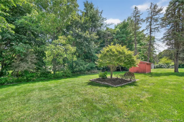 a big yard with lots of green space and plants