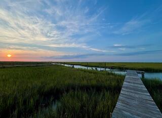 0 Hammocks Way Edisto Island, SC 29438 - Photo 36 of 40 IMG_7292