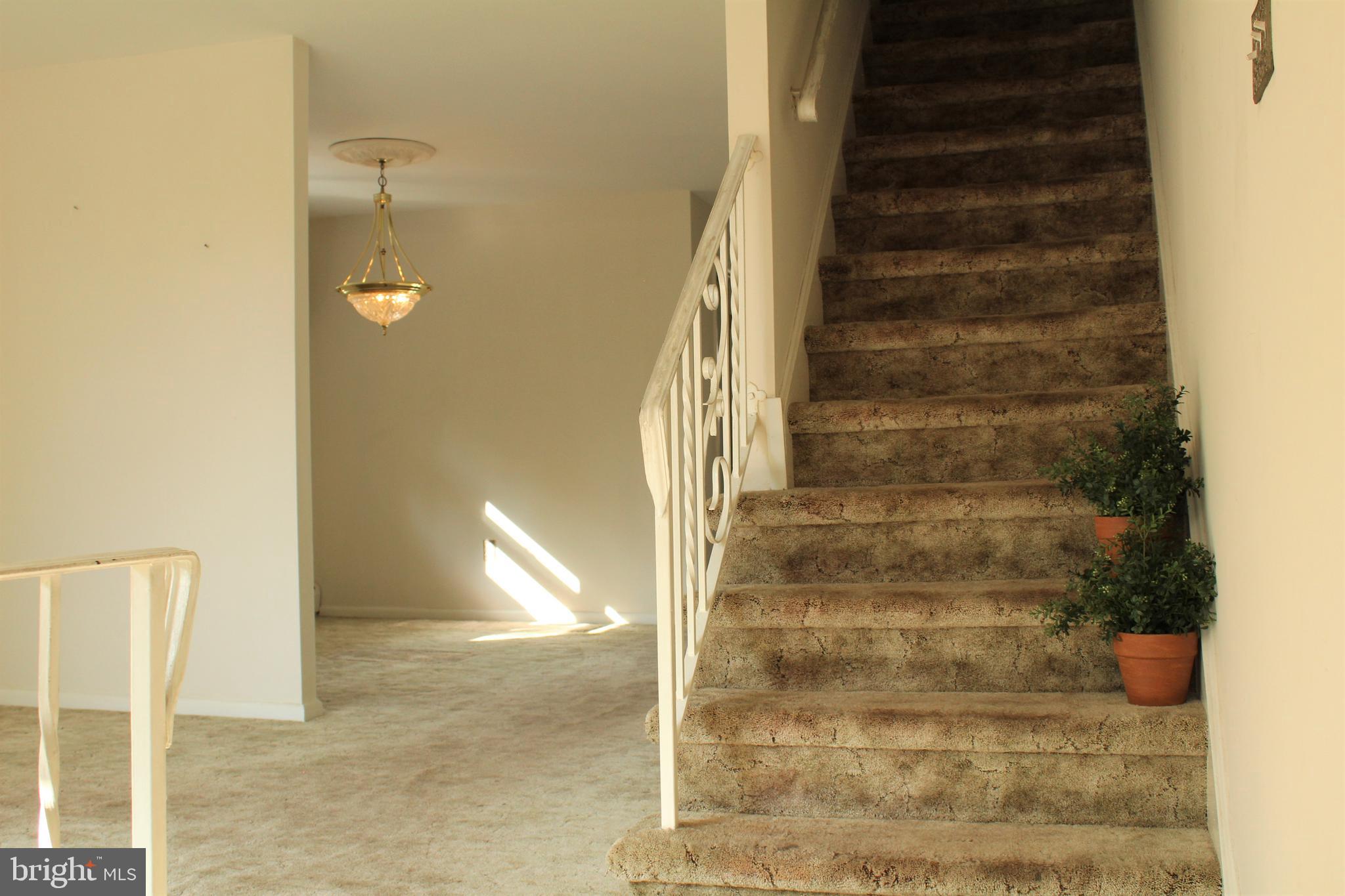 719 Dean Street Ridley Park, PA 19078 - Photo 8 of 25 Gallery Image 8