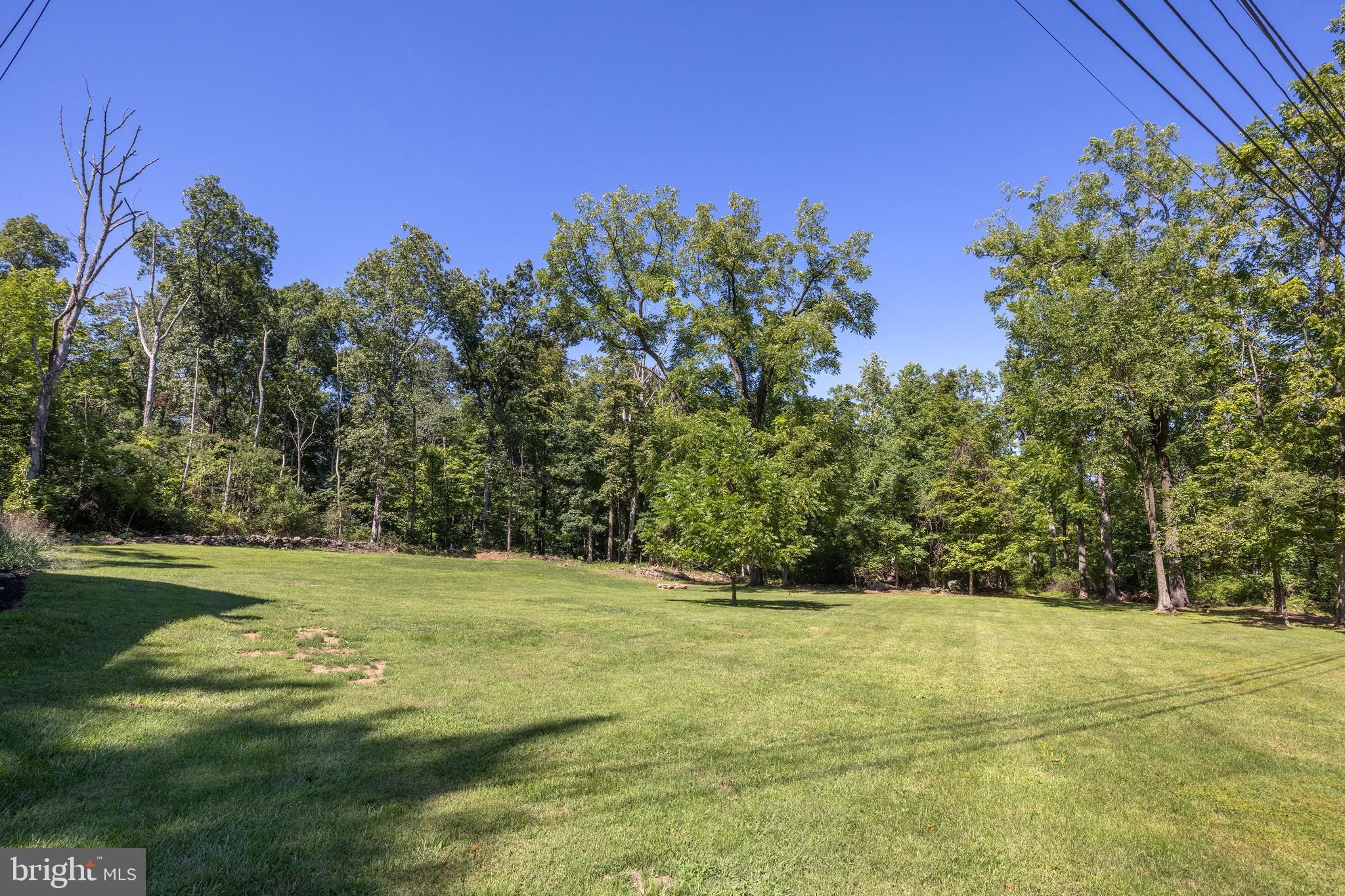 107 Rock Ridge Road Ottsville, PA 18942 - Photo 23 of 24 a view of a yard with a trees