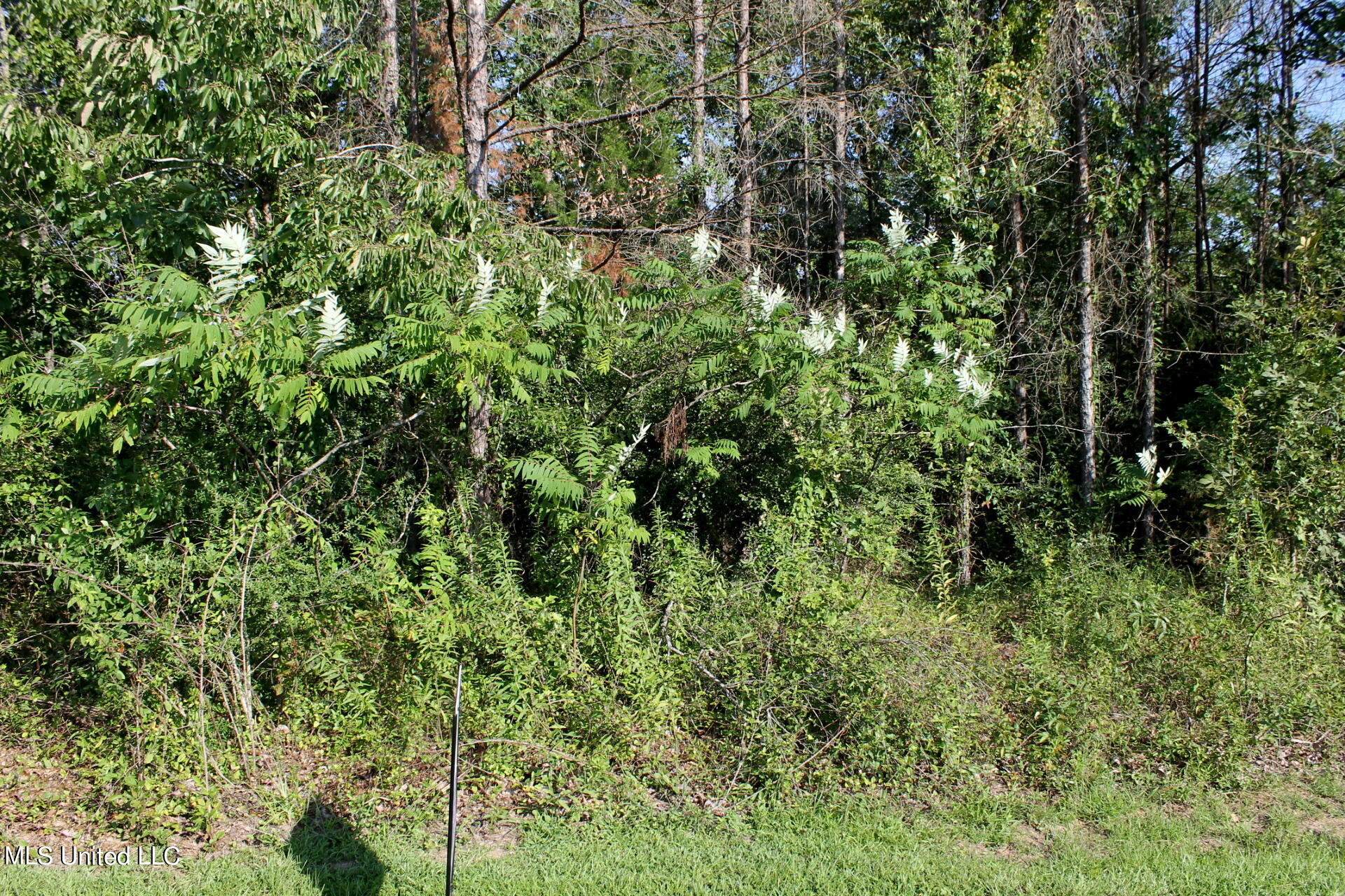 0 Drake Landing Raymond, MS 39154 - Photo 2 of 4 IMG_2571