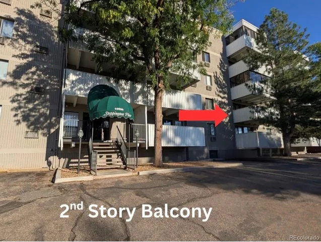 a view of street with large trees