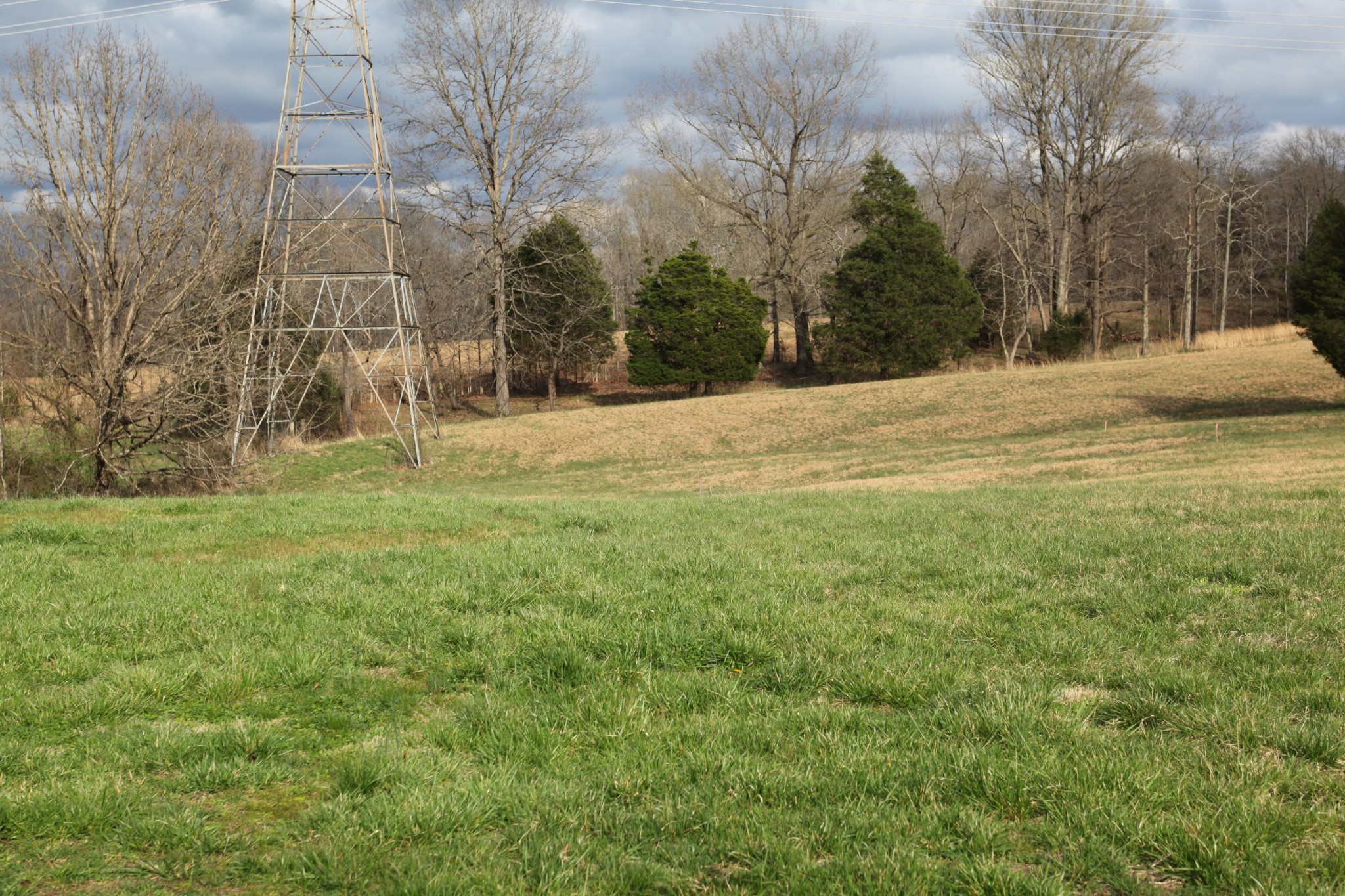 0 Osborne Road Greenbrier, TN 37073 - Photo 1 of 5 a view of back yard