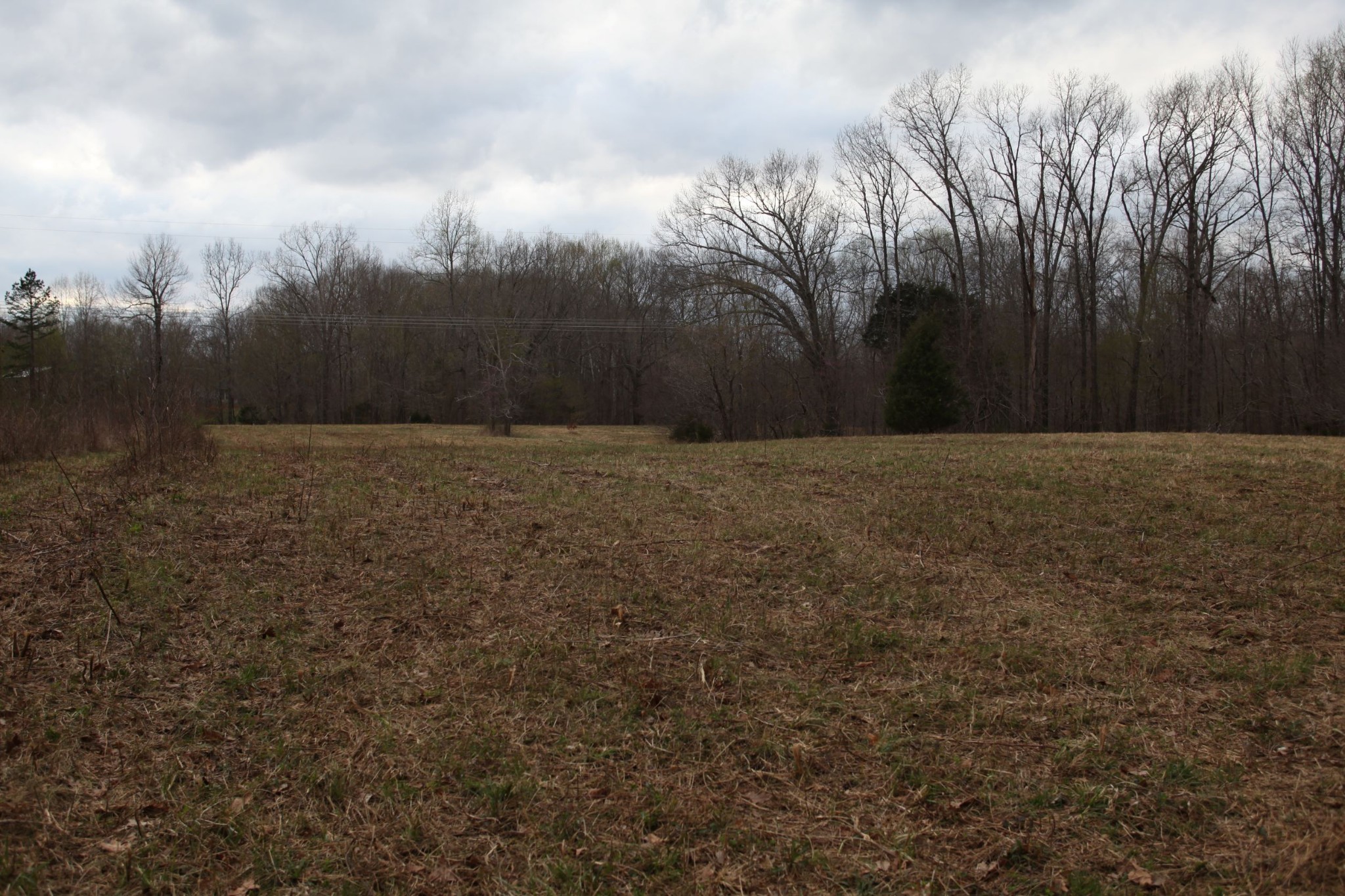 0 Osborne Road Greenbrier, TN 37073 - Photo 5 of 5 a view of an outdoor space and a yard